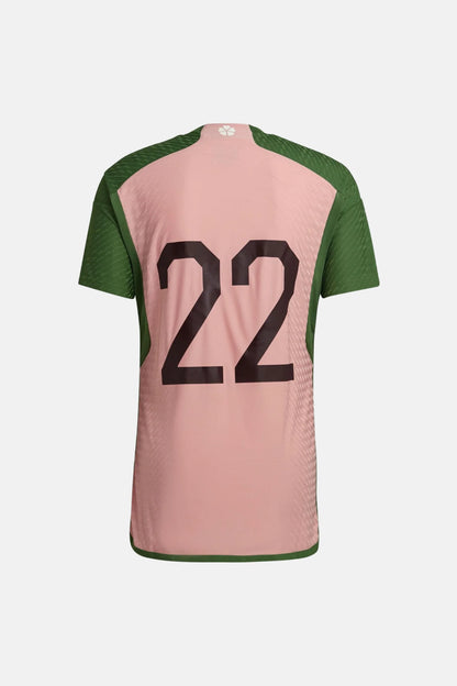 Japon 2022 Maillot Spécial