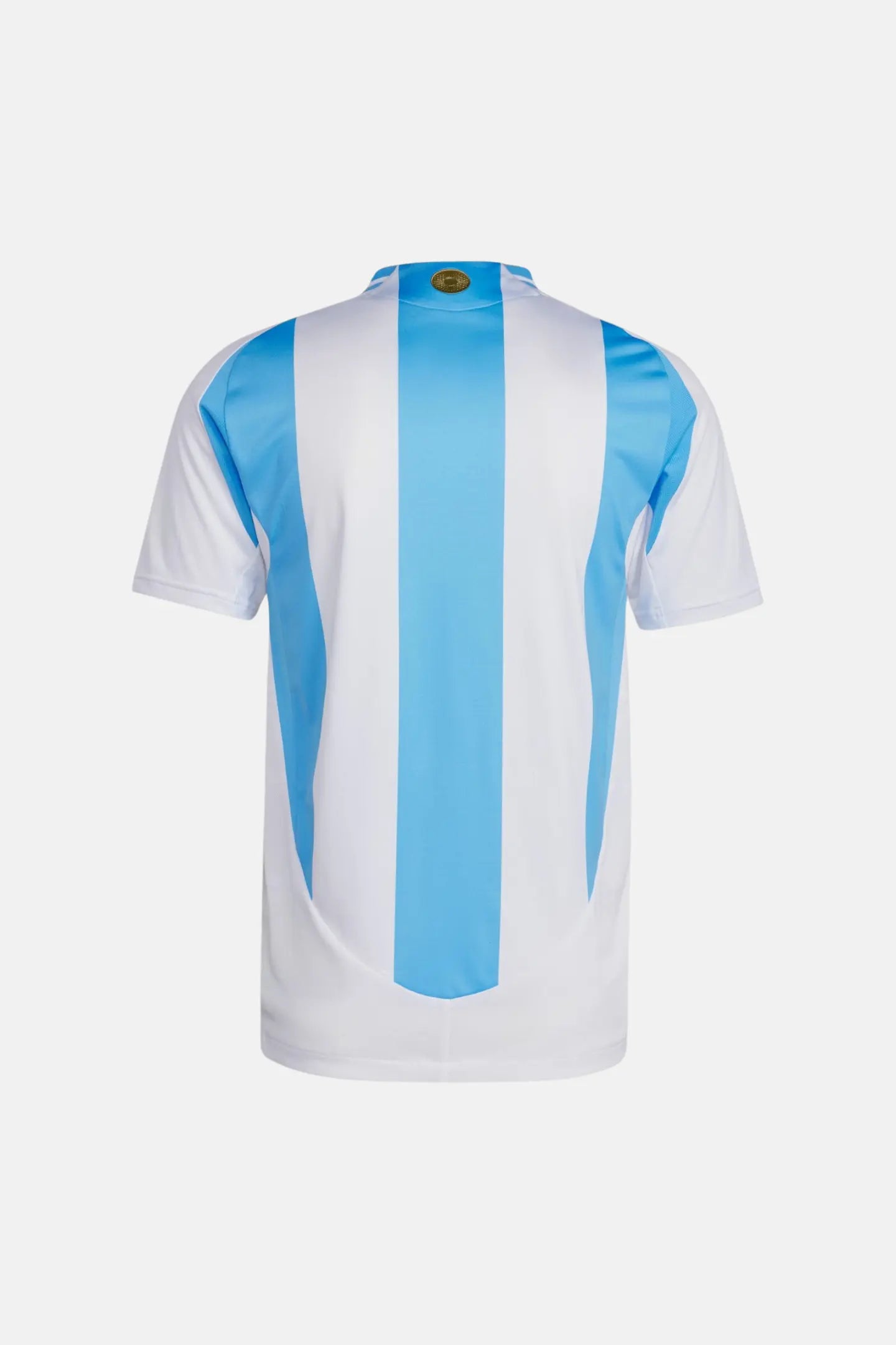 Argentine 2024 Maillot Domicile