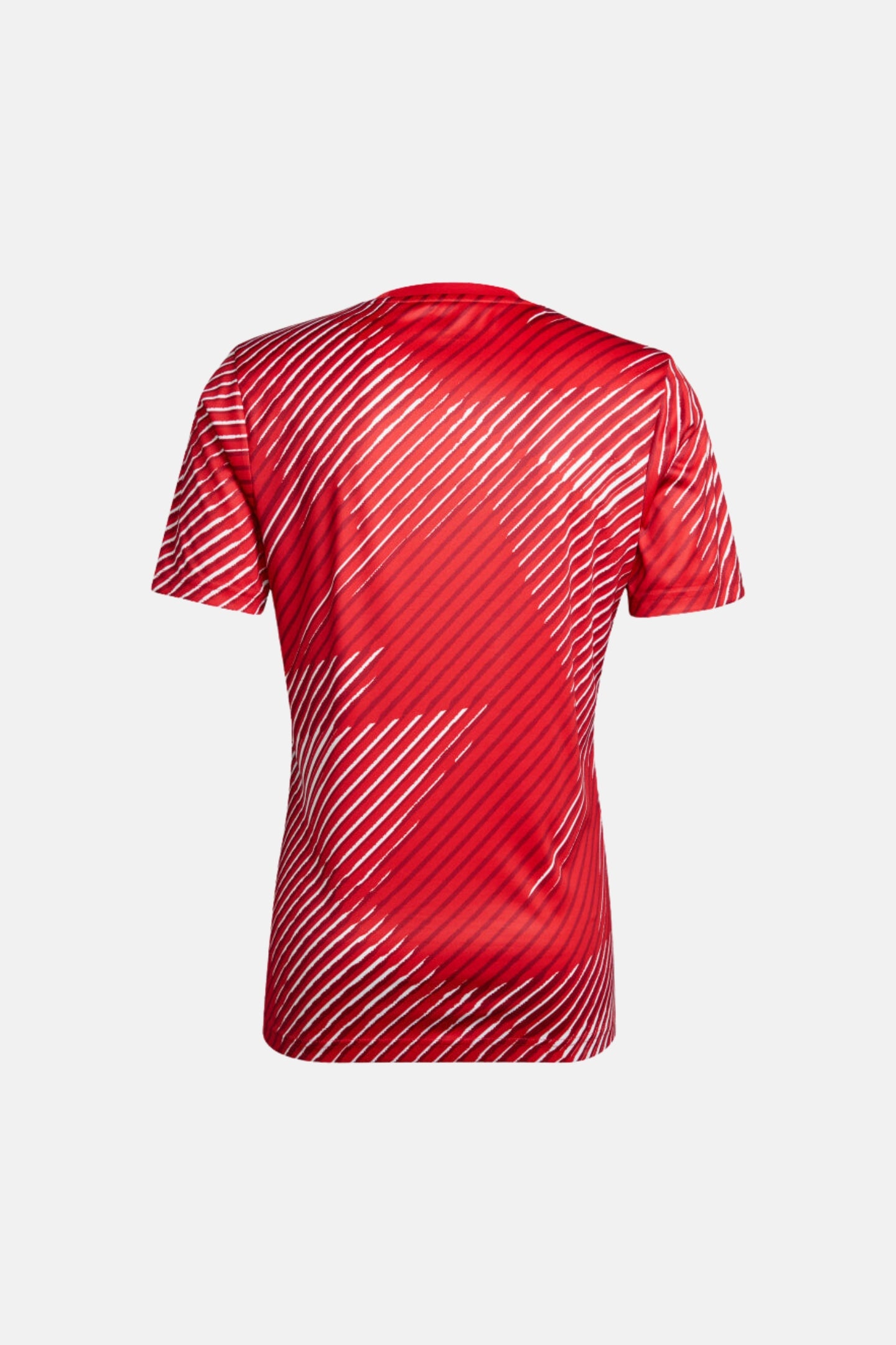 Japon 2022 Maillot Pré-Match