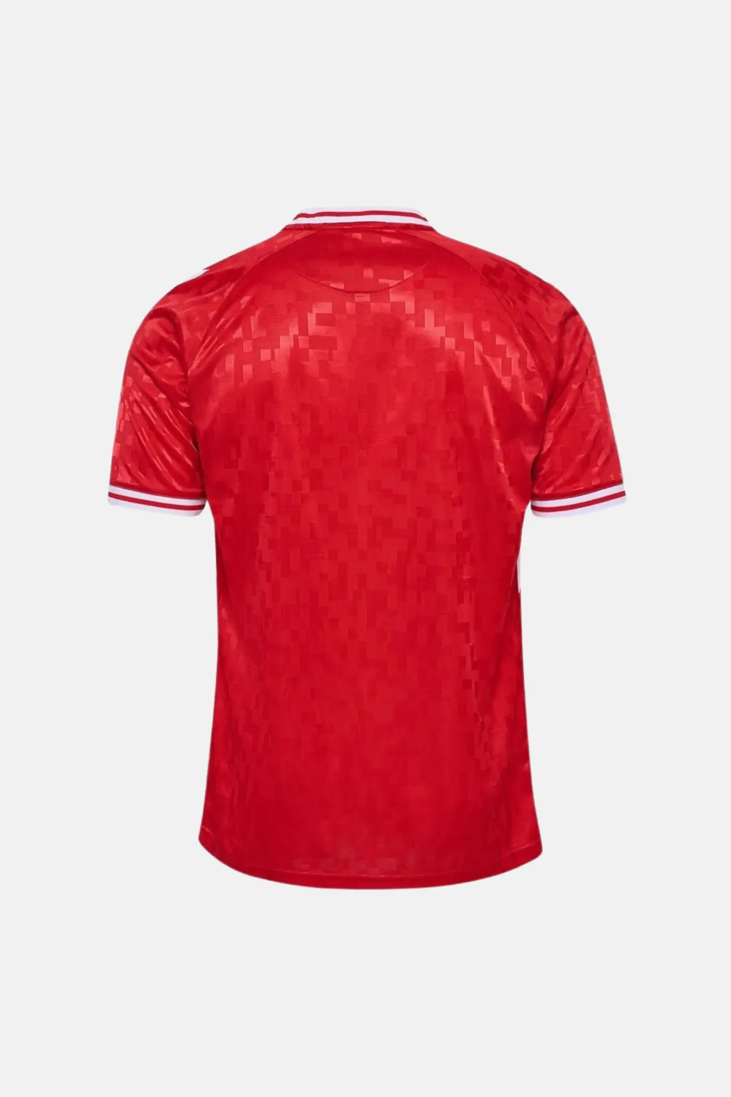 Danemark 2024 Maillot Domicile