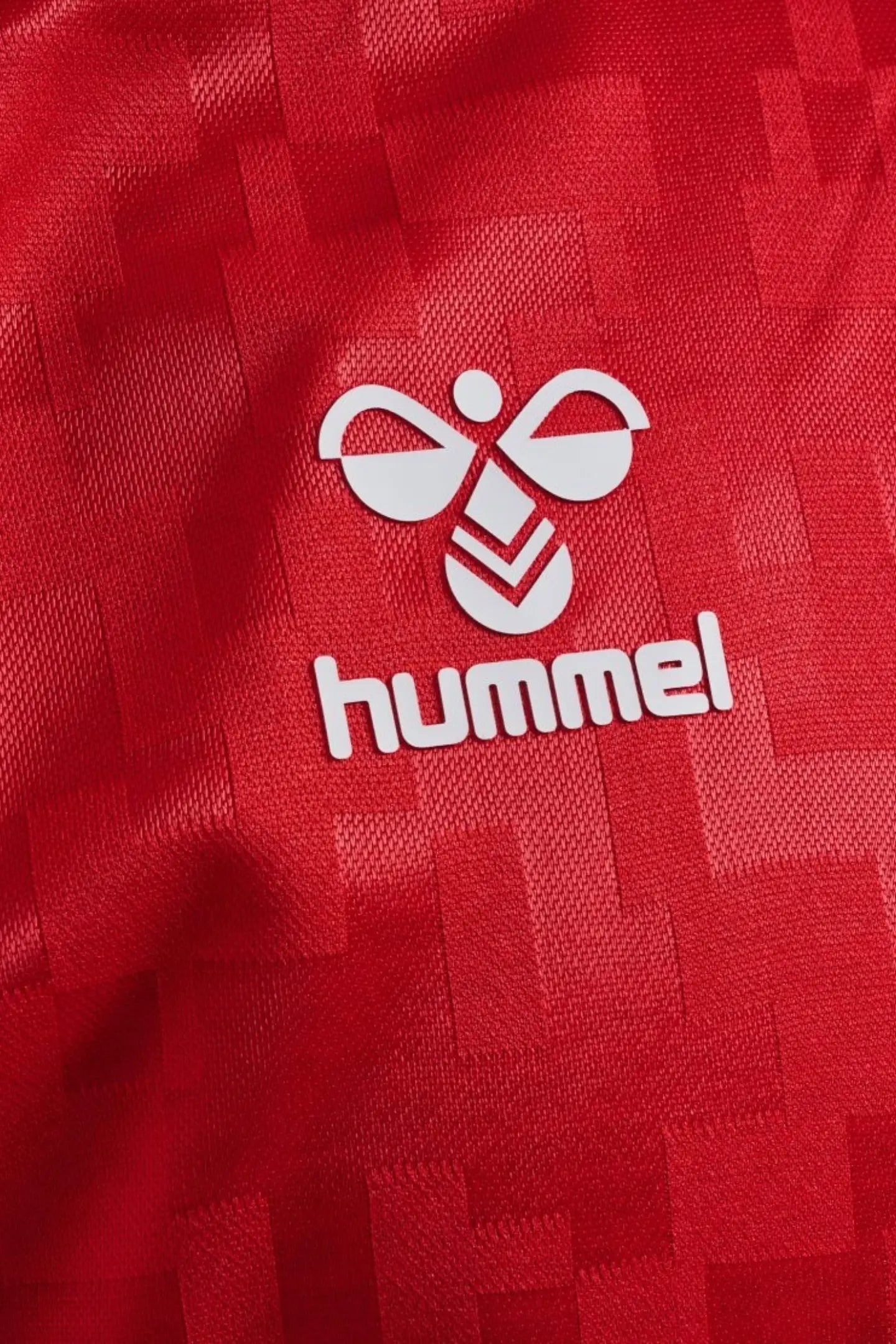 Denmark 2024 Home Kit